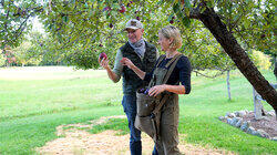 It's Apple Season It's Apple Season