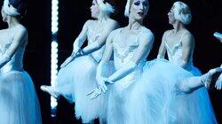 Ballerina Boys Ballerina Boys