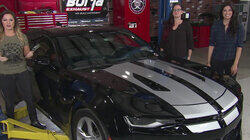 Camaros for Everyone! Camaros for Everyone!