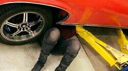 Cougar with Leaks Cougar with Leaks