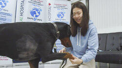 Pets, Pickers & Problems Pets, Pickers & Problems