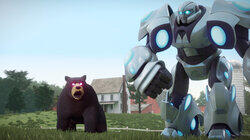 Bear Necessities Bear Necessities
