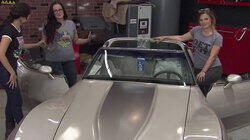 Corvette Collector Edition Corvette Collector Edition