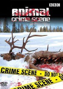 Animal Crime Scene Animal Crime Scene