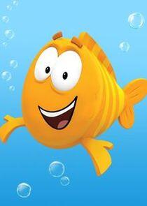 Mr. Grouper