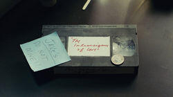 The Intransigence of Love The Intransigence of Love
