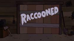 Raccooned Raccooned