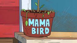 Mama Bird Mama Bird