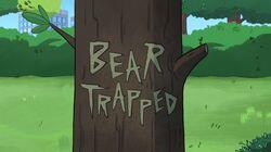 Bear Trapped Bear Trapped