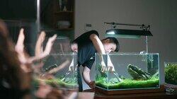 Episode 32 - Evergreen; Aquatic; Pots; Legacy; Reo Episode 32 - Evergreen; Aquatic; Pots; Legacy; Reo