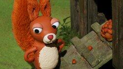 Squirrelled Away Squirrelled Away