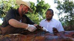 Pig Roasts Pig Roasts
