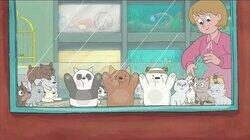Pet Shop