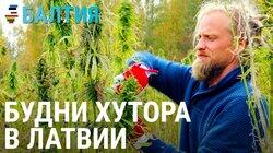 Латвийский хутор Латвийский хутор