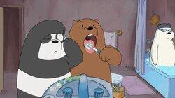 Everyday Bears