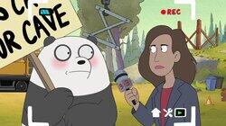 Occupy Bears