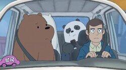 Bear Lift Bear Lift