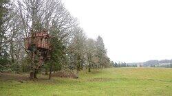 Tree Climber Gets a Treehouse Tree Climber Gets a Treehouse