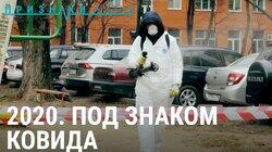 2020. Под знаком ковида. Хроника эпидемии в России 2020. Под знаком ковида. Хроника эпидемии в России