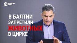 Что наша жизнь? Цирк? Что наша жизнь? Цирк?