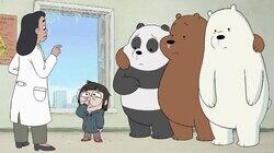 Bear Flu Bear Flu