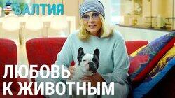 Кладбище домашних животных Кладбище домашних животных