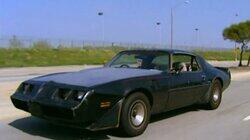 Danelle's 1981 Pontiac Trans Am Danelle's 1981 Pontiac Trans Am