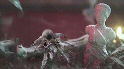 Eight-Legged Exorcism Eight-Legged Exorcism