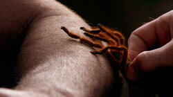 Eelectrocution Eelectrocution