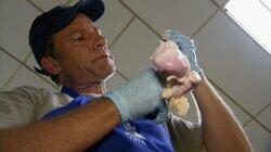 Medical Waste Disposal Expert Medical Waste Disposal Expert