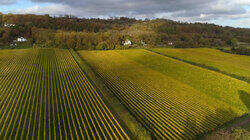 Weather and Wine | Drawing Truth to Power Weather and Wine | Drawing Truth to Power
