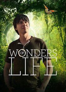 Wonders of Life Wonders of Life