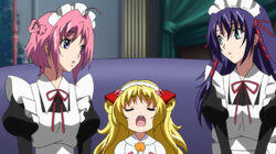 The babysitting mission! The babysitting mission!