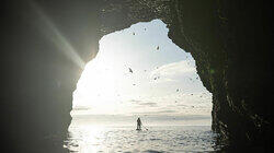 Tides and Predators - The Wild West and North Coasts Tides and Predators - The Wild West and North Coasts