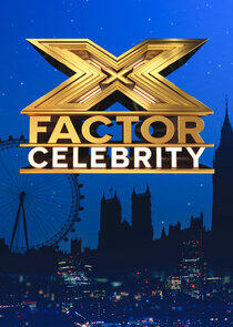 The X Factor: Celebrity The X Factor: Celebrity