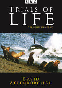 The Trials of Life: A Natural History of Behaviour The Trials of Life: A Natural History of Behaviour