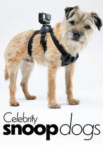 Celebrity Snoop Dogs Celebrity Snoop Dogs