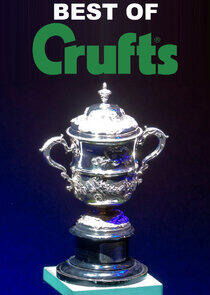 Best of Crufts Best of Crufts