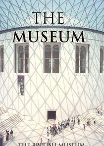 The Museum The Museum