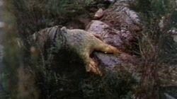 The Silurians, Part Two The Silurians, Part Two
