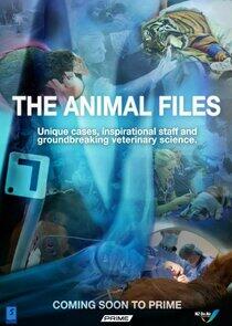 The Animal Files The Animal Files