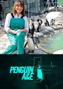 Penguin A&E with Lorraine Kelly Penguin A&E with Lorraine Kelly