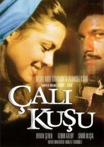 Çalıkuşu Çalıkuşu