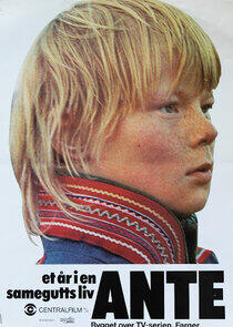 Ante Ante