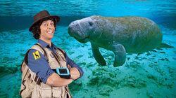 Andy and the Manatee Andy and the Manatee