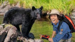 Black Bears Black Bears