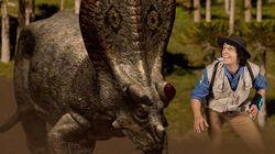 Triceratops and Horn Triceratops and Horn
