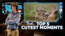 Cutest Moments Cutest Moments