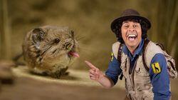 Andy and the Elephant Shrew Andy and the Elephant Shrew