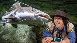 Andy and the Catfish Andy and the Catfish